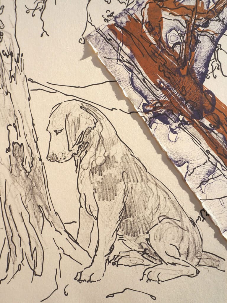 The Dog Beneath The Pine Tree (detail from edition variable) 2025